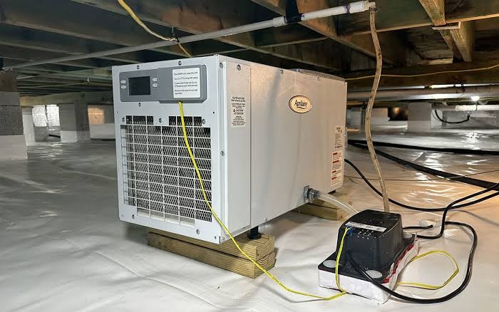 Dehumidifiers & Drainage